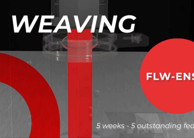 FLW-ENSIS: Nr. 1 von 5 Funktionen – Rotierende Linse (Weaving)